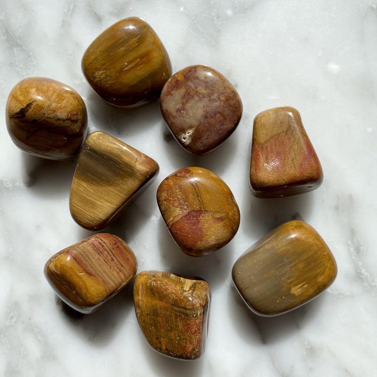 Petrified Wood Stone