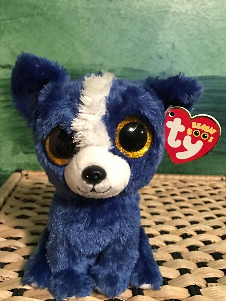 T-BONE Blue Chihuahua Beanie Boo