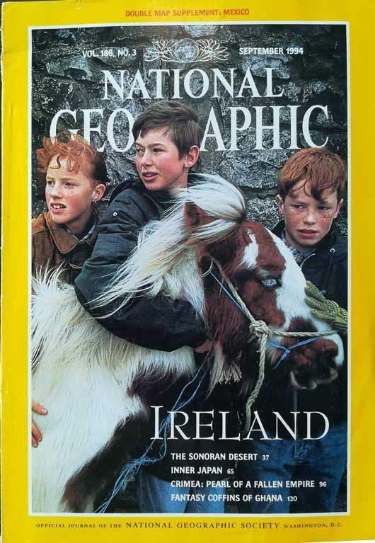 Three Irish Boys with a Horse (1994)
