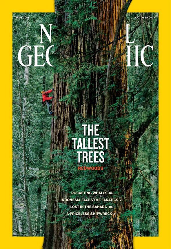 10 Most Valuable National Geographic Magazines