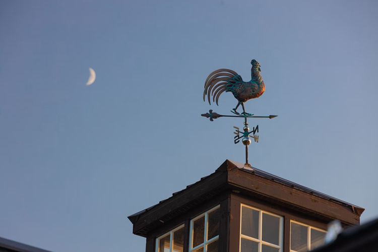 weathervane