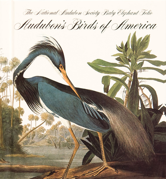 The cover shows a Louisiana heron, Egretta tricolor (now called tricolored heron)