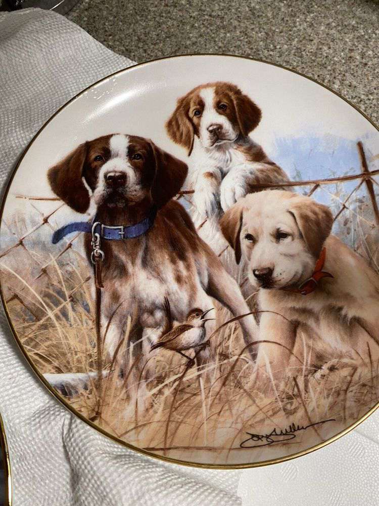 Franklin Mint collectible plate of dogs and puppies