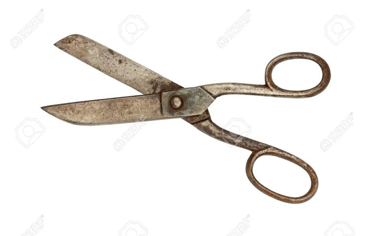 Conventional Scissors