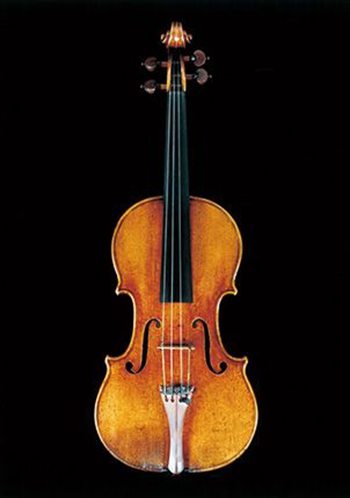 Dolphin Stradivari