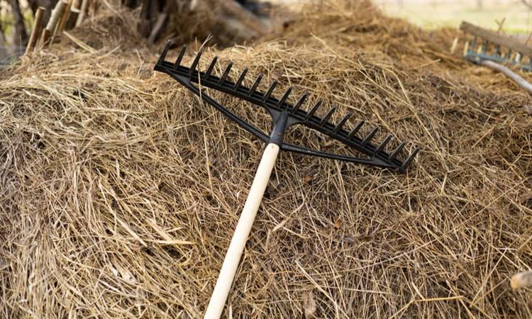 Early Handheld Hay Rakes